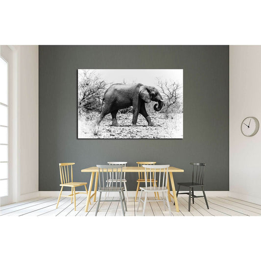 African elephant walks in the bush (Chobe National Park, Botswana) №1846 Ready to Hang Canvas PrintCanvas art arrives ready to hang, with hanging accessories included and no additional framing required. Every canvas print is hand-crafted, made on-demand a