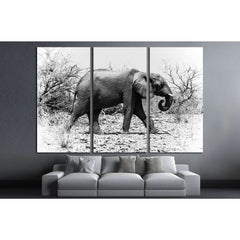 African elephant walks in the bush (Chobe National Park, Botswana) №1846 Ready to Hang Canvas PrintCanvas art arrives ready to hang, with hanging accessories included and no additional framing required. Every canvas print is hand-crafted, made on-demand a