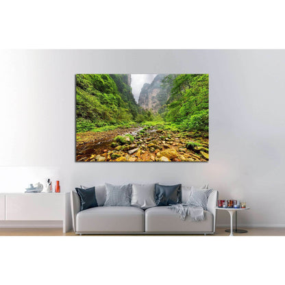 Amazing view of mountain river with crystal clear water,Zhangjiajie National Forest Park, Hunan Province, China №1991 Ready to Hang Canvas PrintCanvas art arrives ready to hang, with hanging accessories included and no additional framing required. Every c