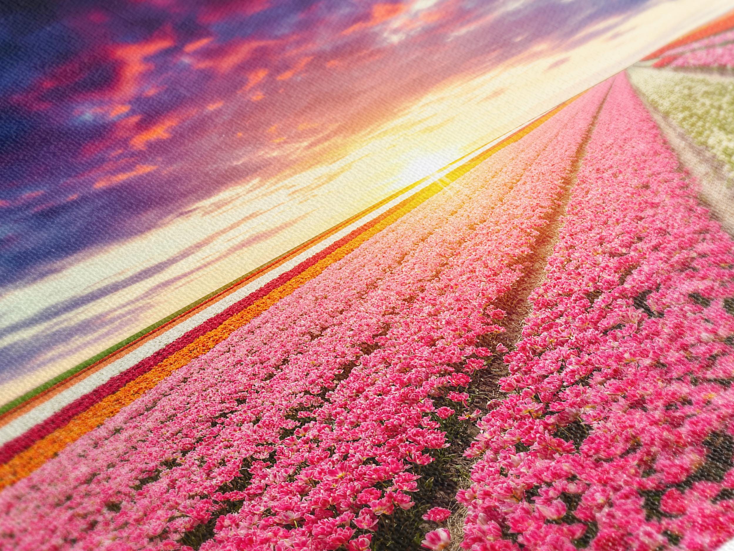 Tulip Field Sunset Canvas Print – Vibrant Flower Landscape Wall Art, Dutch Windmill Scenery, Colorful Floral Decor for Living Room