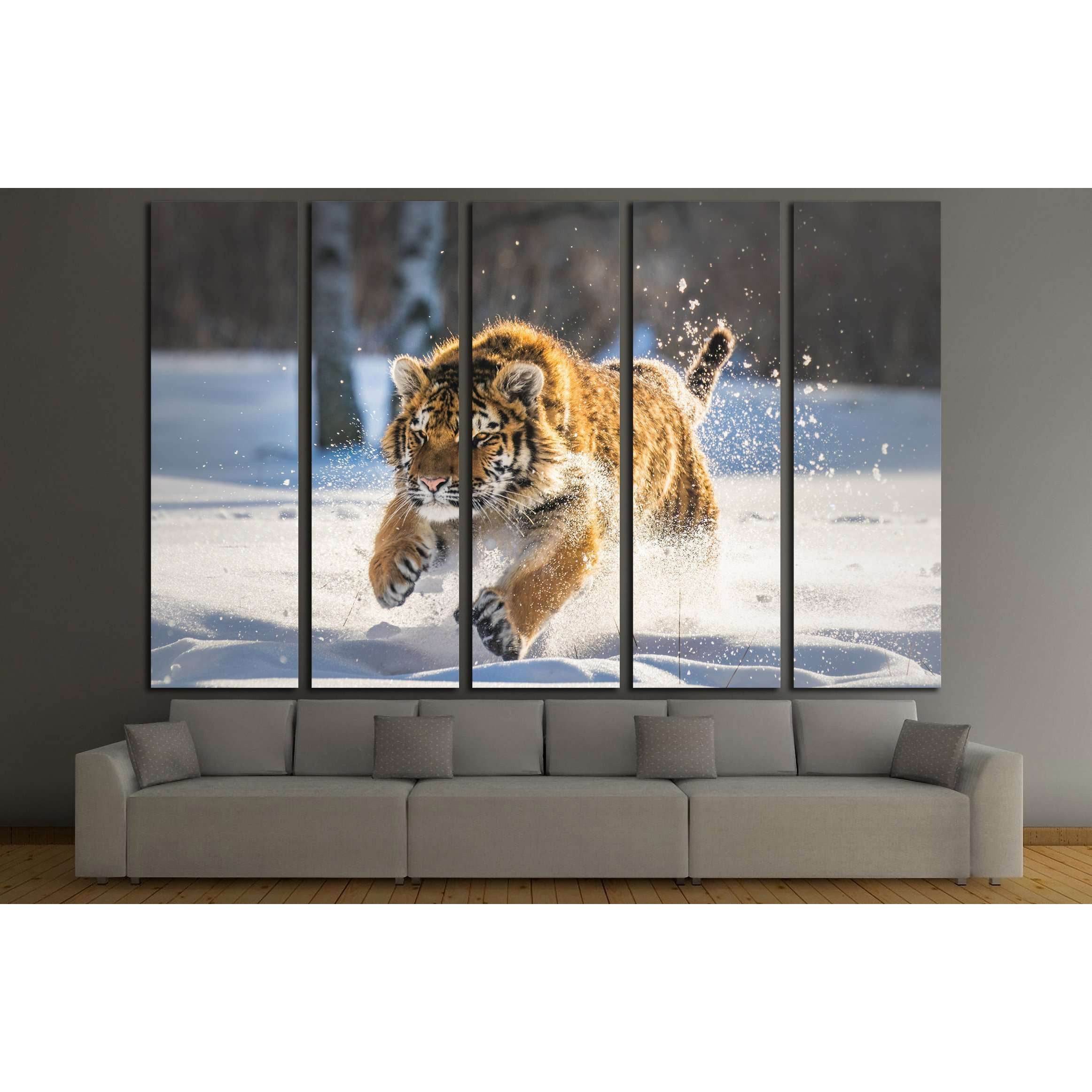 Beautiful, dynamic and powerful photo of this majestic tiger №2805 Ready to Hang Canvas PrintCanvas art arrives ready to hang, with hanging accessories included and no additional framing required. Every canvas print is hand-crafted, made on-demand at our