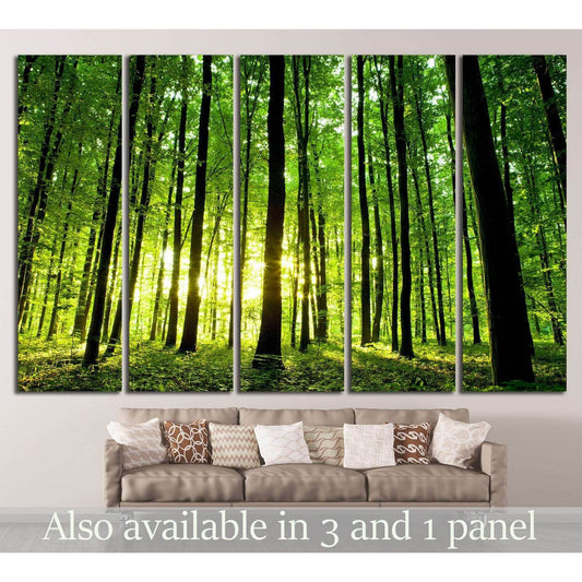 Lively Green Woodland Wall Art for Bright Office SpacesThis canvas print features a sun-drenched forest, offering a lively and refreshing ambiance to any room. Its vibrant greens and sunlit backdrop make it ideal for living rooms or offices looking to add