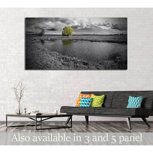 Lone Tree in Black & White Landscape Canvas Print - Modern Wall DecorThis canvas print presents a black and white image of a serene landscape, where a single tree stands out in vivid green against a monochromatic backdrop. The reflection on the water adds