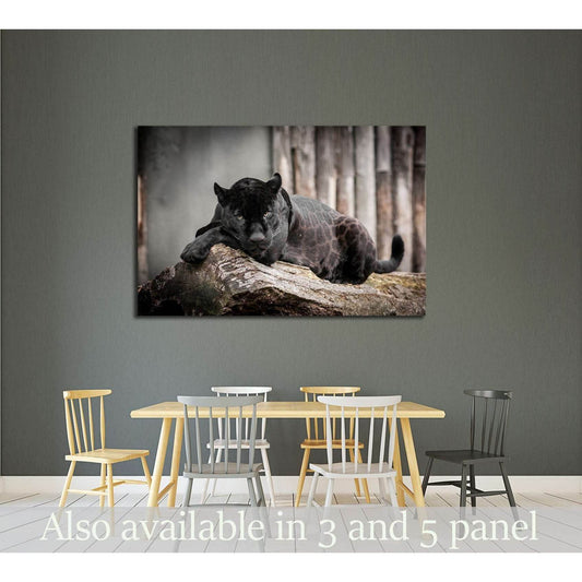 Black Panthera №2359 Ready to Hang Canvas PrintCanvas art arrives ready to hang, with hanging accessories included and no additional framing required. Every canvas print is hand-crafted, made on-demand at our workshop and expertly stretched around 100% No