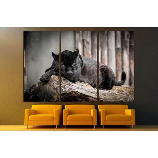 Black Panthera №2359 Ready to Hang Canvas PrintCanvas art arrives ready to hang, with hanging accessories included and no additional framing required. Every canvas print is hand-crafted, made on-demand at our workshop and expertly stretched around 100% No