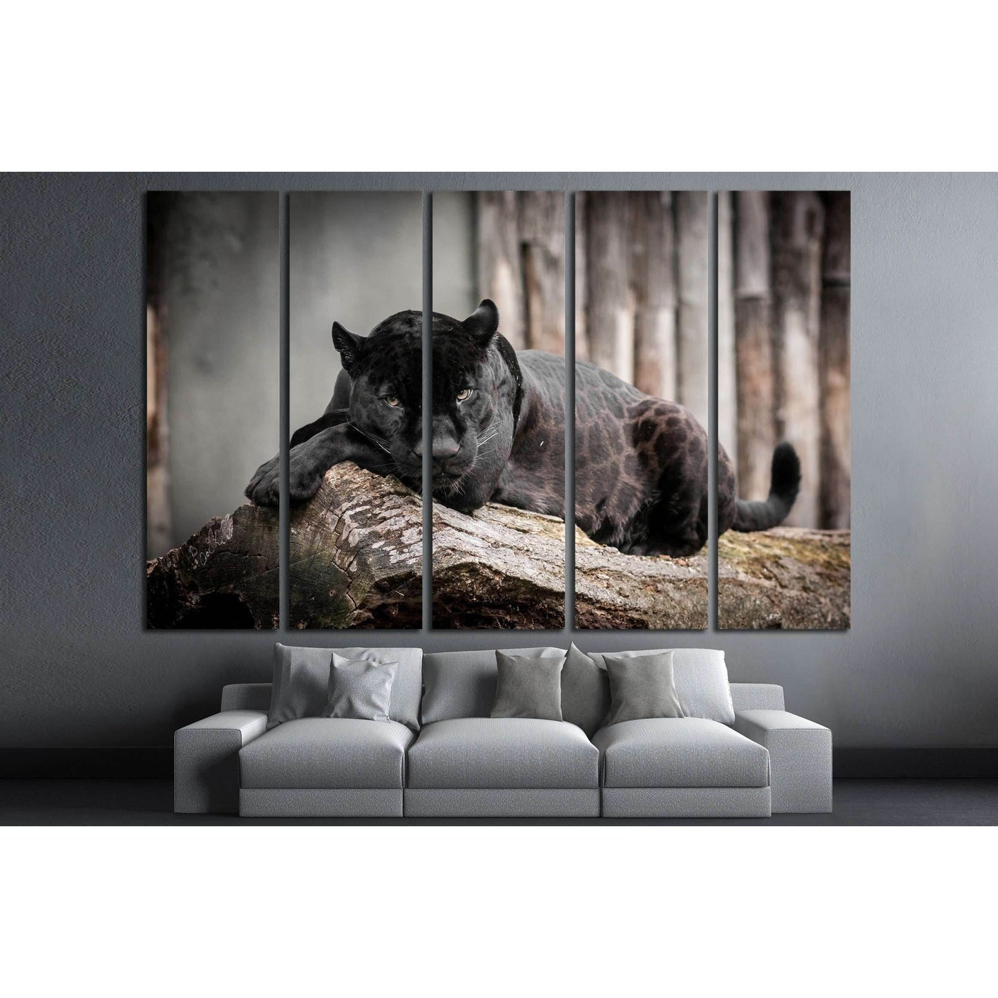 Black Panthera №2359 Ready to Hang Canvas PrintCanvas art arrives ready to hang, with hanging accessories included and no additional framing required. Every canvas print is hand-crafted, made on-demand at our workshop and expertly stretched around 100% No