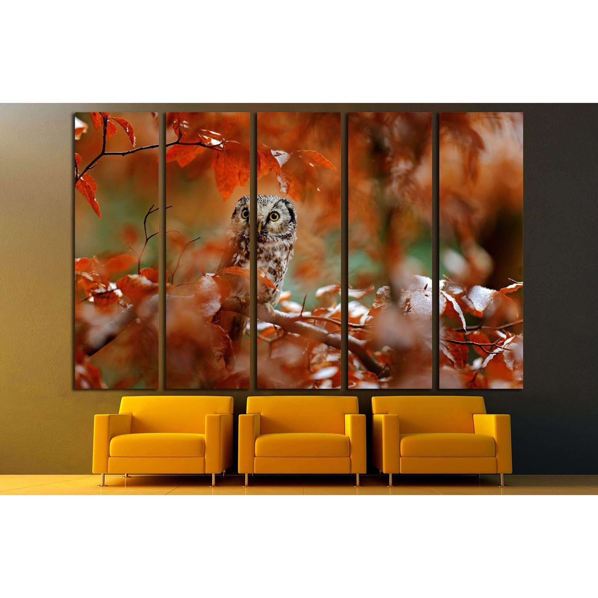 Boreal owl, Aegolius funereus, in the orange larch autumn forest in central Europe №2801 Ready to Hang Canvas PrintCanvas art arrives ready to hang, with hanging accessories included and no additional framing required. Every canvas print is hand-crafted,