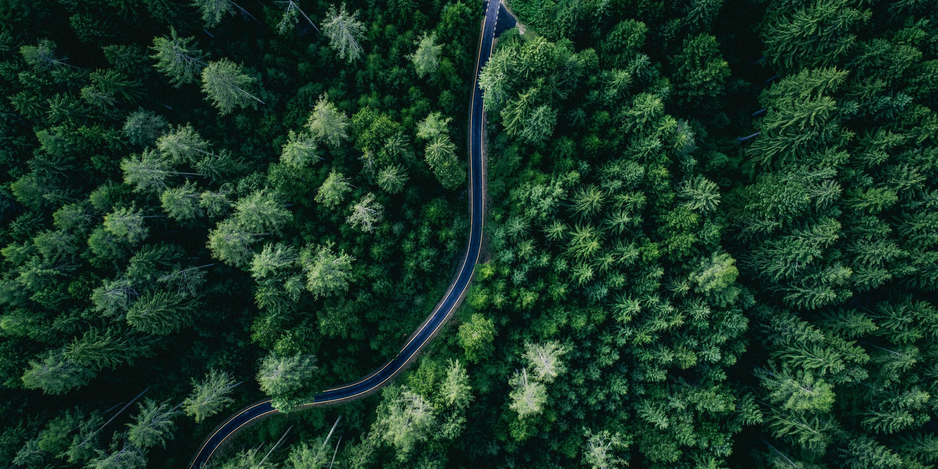 Aerial Forest Wall Art - Large Green Nature Wall Decor, Modern Farmhouse Wall Decor, Country House Green Decor, Forest Canvas Print for Home