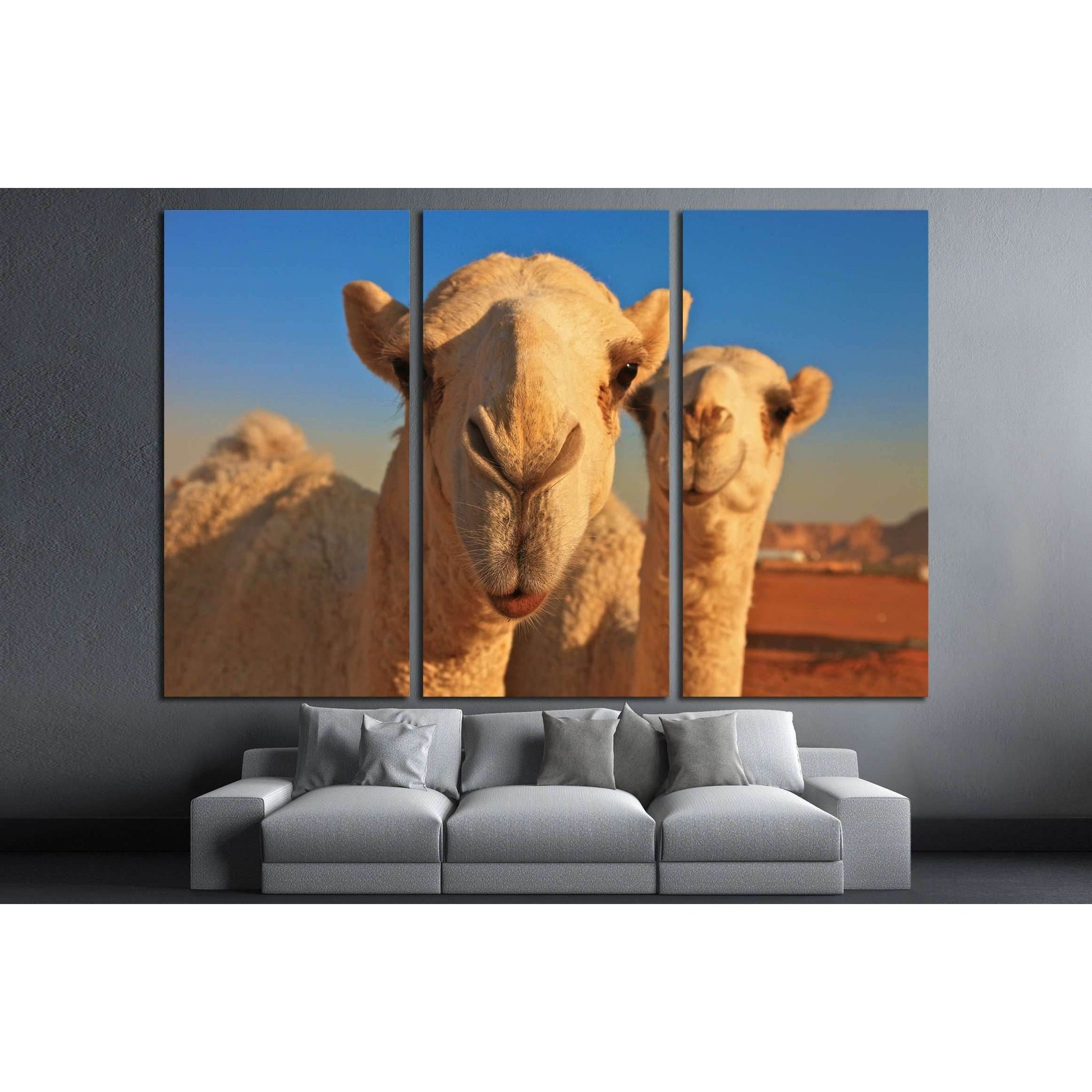 camel №2343 Ready to Hang Canvas PrintCanvas art arrives ready to hang, with hanging accessories included and no additional framing required. Every canvas print is hand-crafted, made on-demand at our workshop and expertly stretched around 100% North Ameri