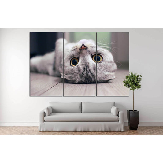 Cat lying on the floor №11 Ready to Hang Canvas PrintCanvas art arrives ready to hang, with hanging accessories included and no additional framing required. Every canvas print is hand-crafted, made on-demand at our workshop and expertly stretched around 1