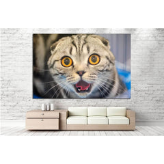 Cat with yellow eyes №14 Ready to Hang Canvas PrintCanvas art arrives ready to hang, with hanging accessories included and no additional framing required. Every canvas print is hand-crafted, made on-demand at our workshop and expertly stretched around 100