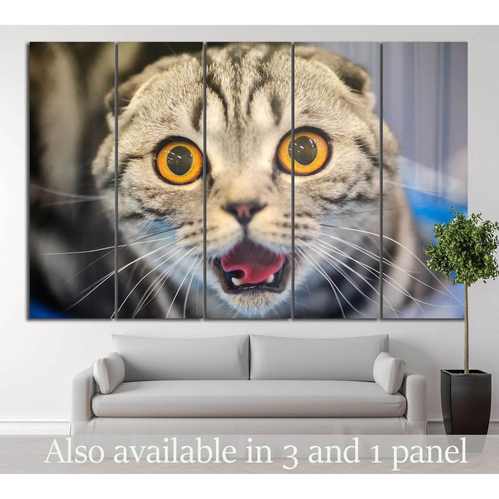 Cat with yellow eyes №14 Ready to Hang Canvas PrintCanvas art arrives ready to hang, with hanging accessories included and no additional framing required. Every canvas print is hand-crafted, made on-demand at our workshop and expertly stretched around 100