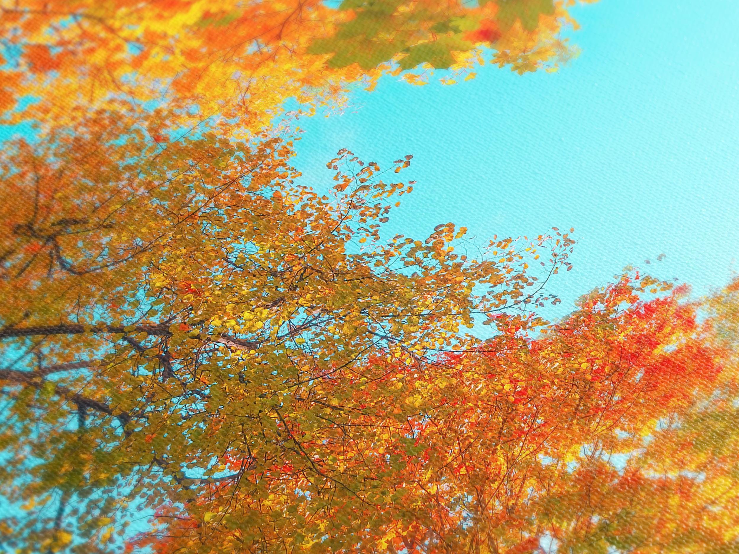 Autumn Forest Canopy Canvas Wall Art, 3-Panel Fall Leaves Print, Vibrant Nature Decor for Living Room, Colorful Fall Trees Wall Art Print