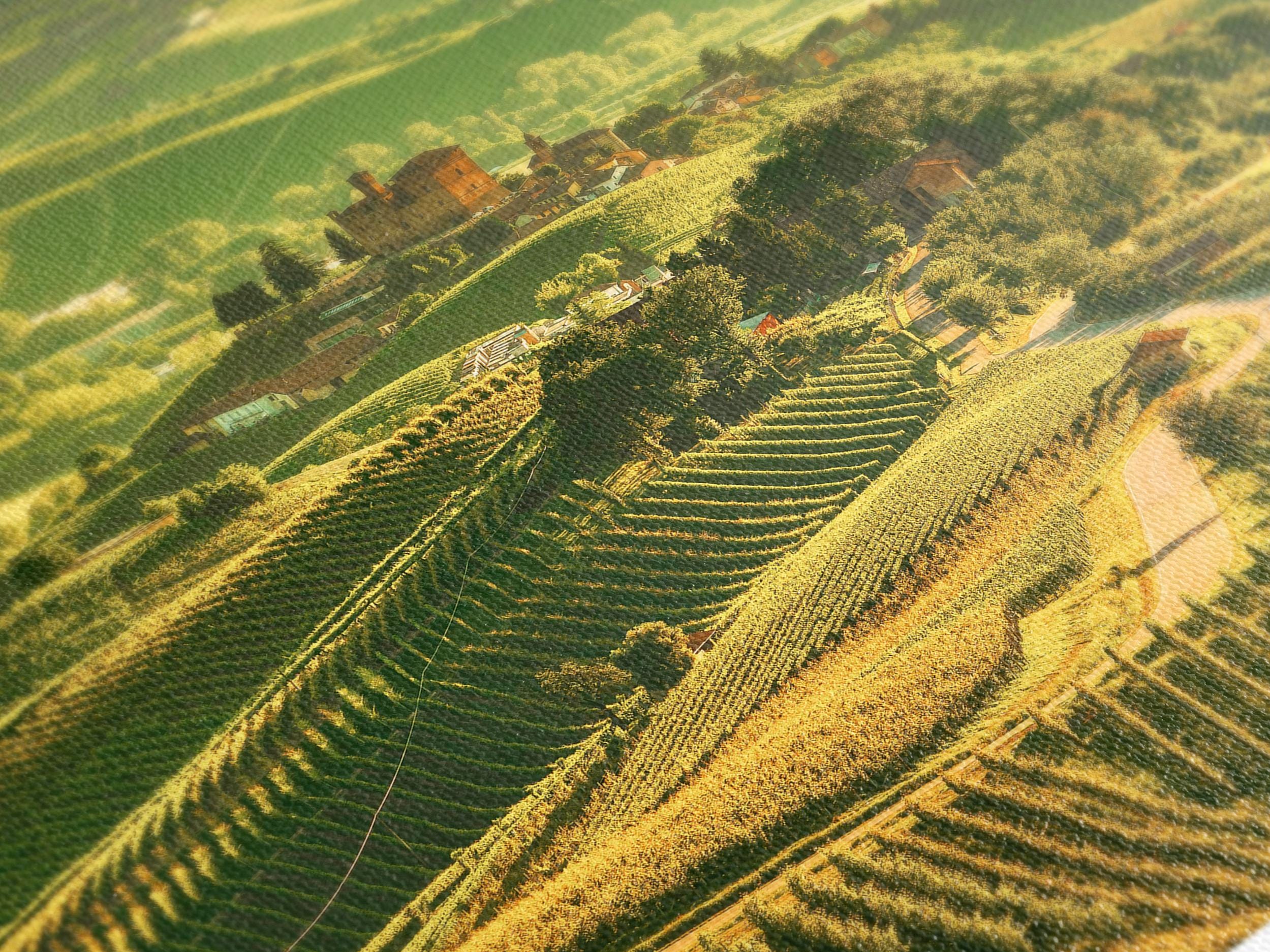 Seni Kanvas Ladang Anggur Langhe, Cetakan Dinding Grinzane Cavour, Landskap Desa Itali, Hiasan Ladang Anggur Piedmont, Seni Dinding Desa Wain Itali