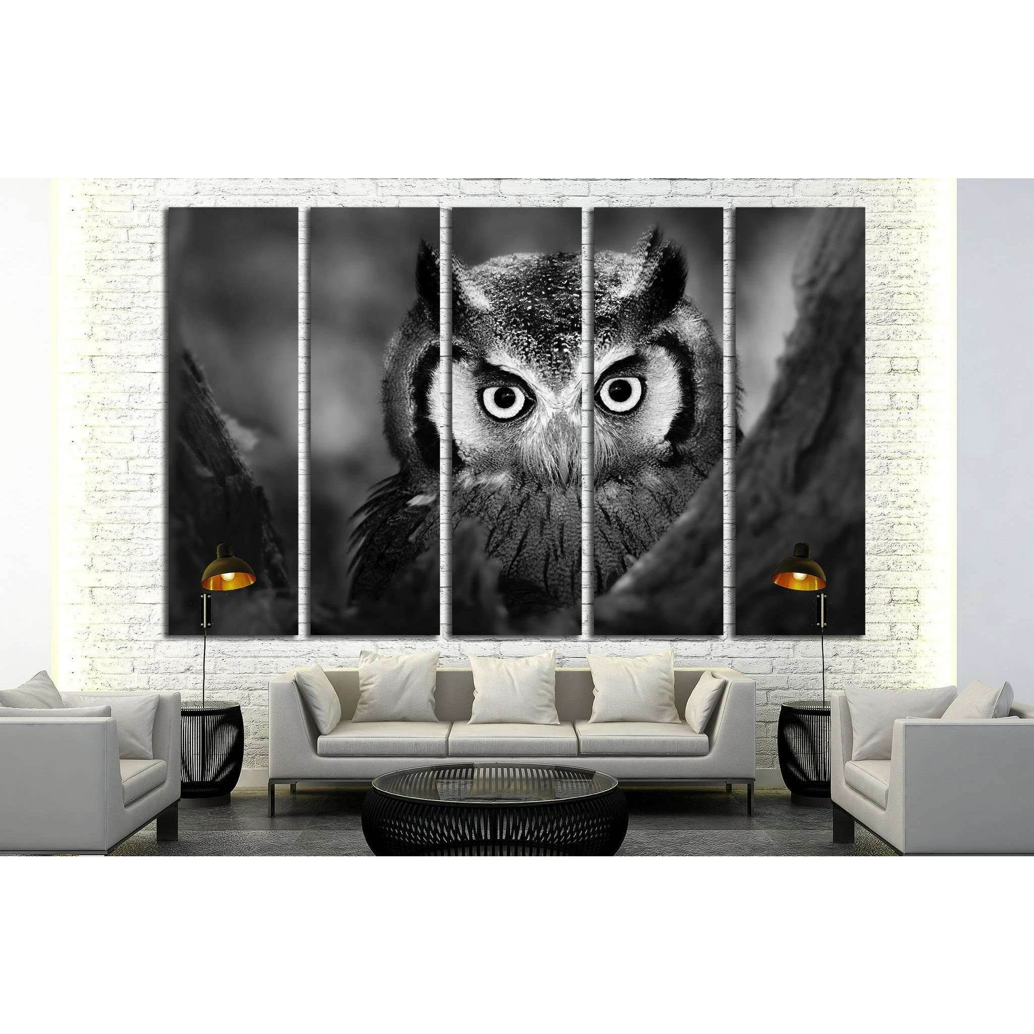 Close-up of a Whitefaced Owl №1842 Ready to Hang Canvas PrintCanvas art arrives ready to hang, with hanging accessories included and no additional framing required. Every canvas print is hand-crafted, made on-demand at our workshop and expertly stretched
