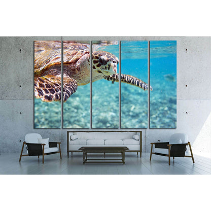 Close up of Hawksbill sea turtle swimming in Indian ocean in Seychelles №2337 Ready to Hang Canvas PrintCanvas art arrives ready to hang, with hanging accessories included and no additional framing required. Every canvas print is hand-crafted, made on-dem