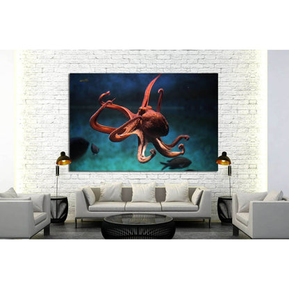 Common octopus (Octopus vulgaris). Wildlife animal №1856 Ready to Hang Canvas PrintCanvas art arrives ready to hang, with hanging accessories included and no additional framing required. Every canvas print is hand-crafted, made on-demand at our workshop a