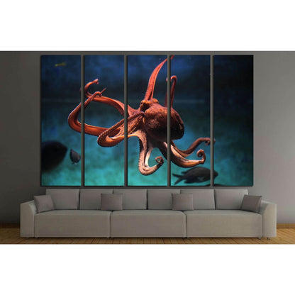 Common octopus (Octopus vulgaris). Wildlife animal №1856 Ready to Hang Canvas PrintCanvas art arrives ready to hang, with hanging accessories included and no additional framing required. Every canvas print is hand-crafted, made on-demand at our workshop a