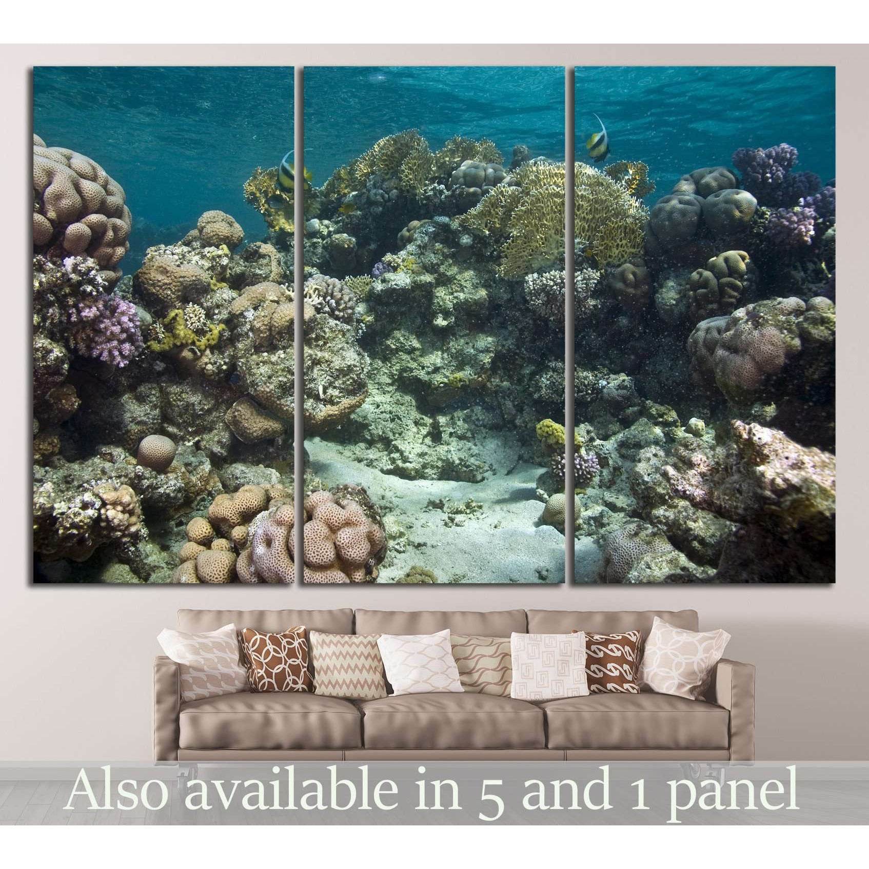 coral and fish №836 Ready to Hang Canvas PrintCanvas art arrives ready to hang, with hanging accessories included and no additional framing required. Every canvas print is hand-crafted, made on-demand at our workshop and expertly stretched around 100% Nor