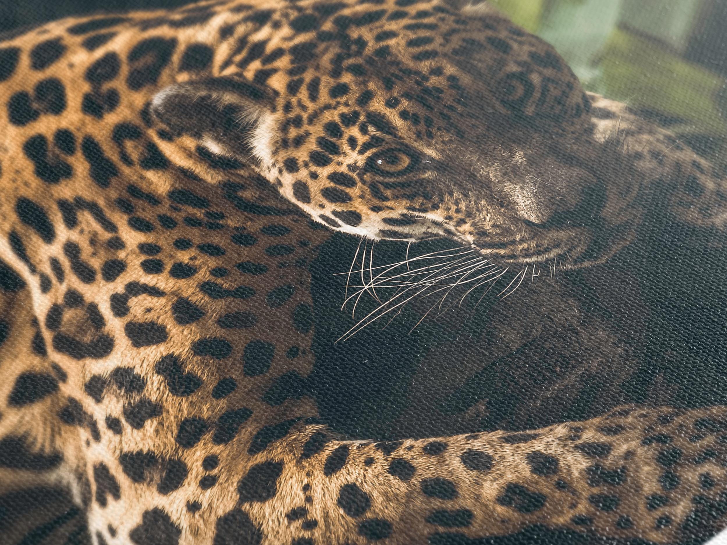 Jaguar Wall Art - Panthera Onca Canvas Print, Oversized Jungle Wildlife Artwork, Wild Cat Fine Art Print, Wildlife Photography Wall Decor