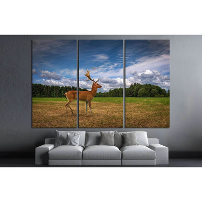 Deer in a Field №2361 Ready to Hang Canvas PrintCanvas art arrives ready to hang, with hanging accessories included and no additional framing required. Every canvas print is hand-crafted, made on-demand at our workshop and expertly stretched around 100% N