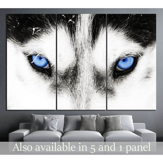 Dogs blue eyes №10 Ready to Hang Canvas PrintCanvas art arrives ready to hang, with hanging accessories included and no additional framing required. Every canvas print is hand-crafted, made on-demand at our workshop and expertly stretched around 100% Nort