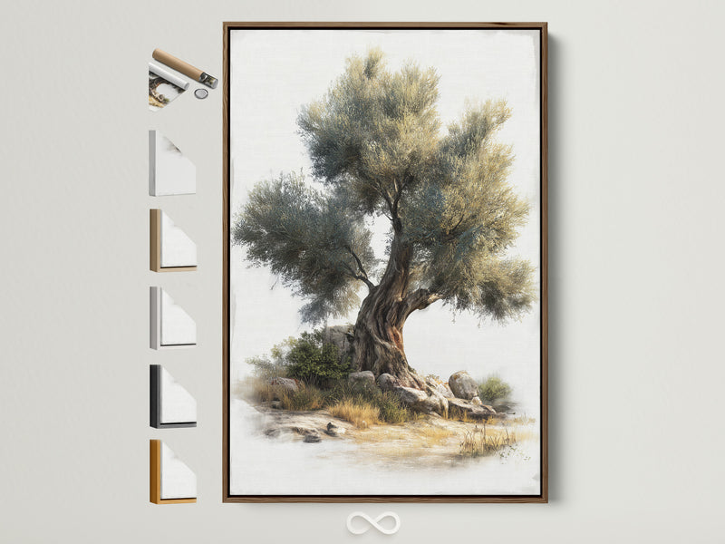 Ancient Olive Tree canvas print—Mediterranean neutral green with khaki stone tones
