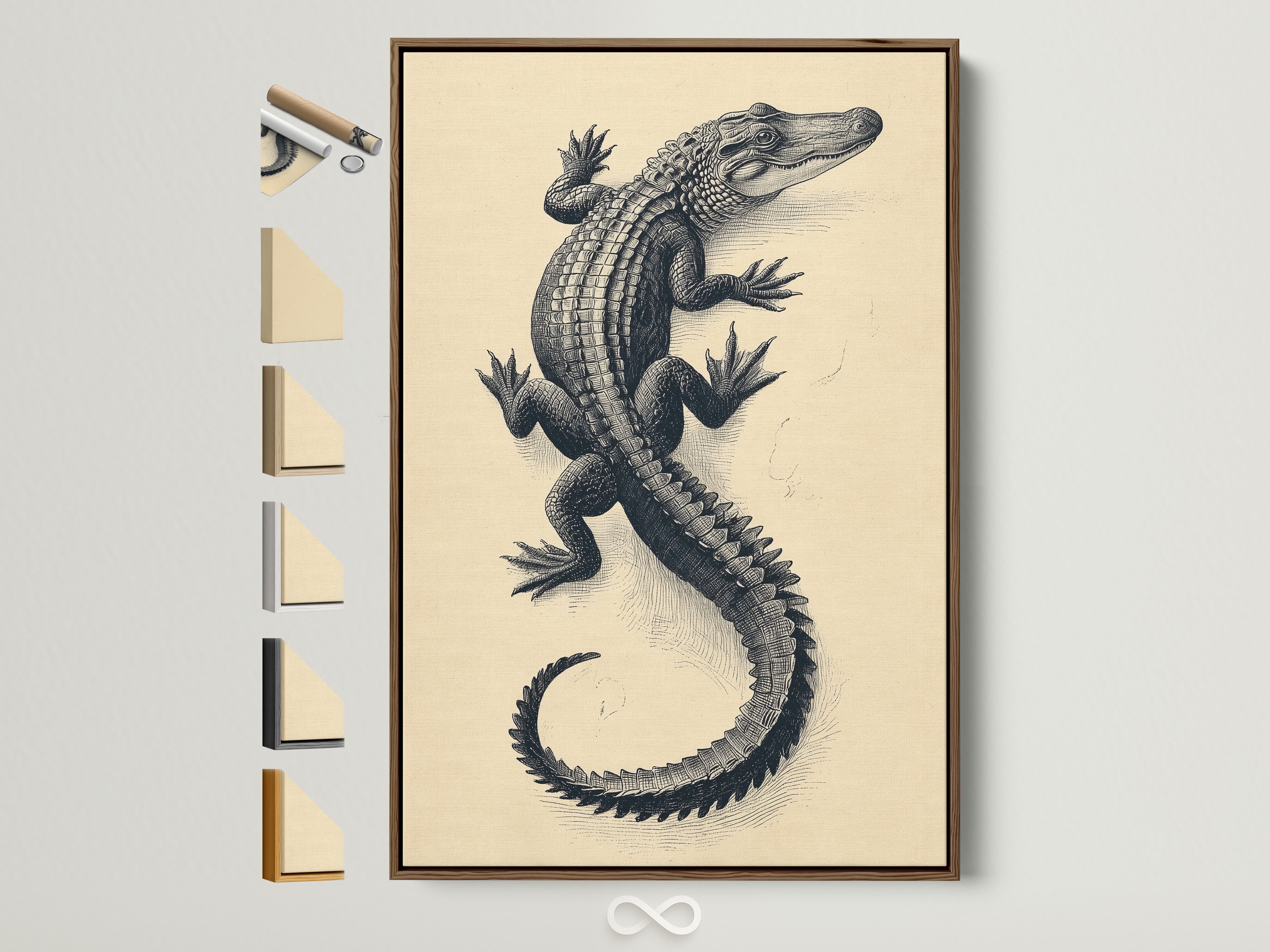 Vintage Alligator Art Print in a brown frame. This antique reptile wall art adds natural history charm to any room. Frame options displayed include oak white black and gold. Perfect for study room decor or eclectic spaces. This vintage canvas art brings a touch of Victorian style.