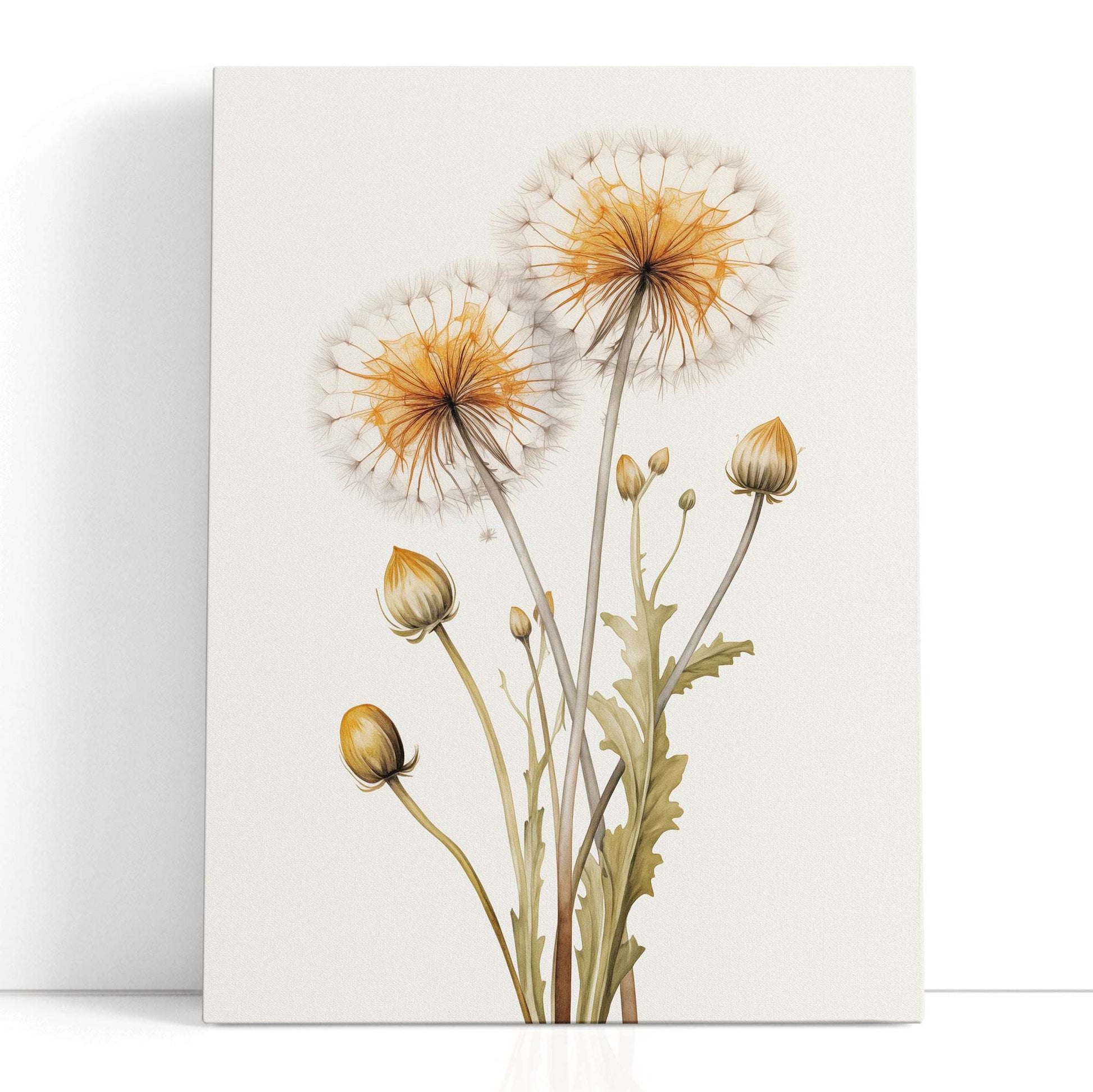 Elegant Botanical Dandelion Illustration - Canvas Print - Artoholica Ready to Hang Canvas Print