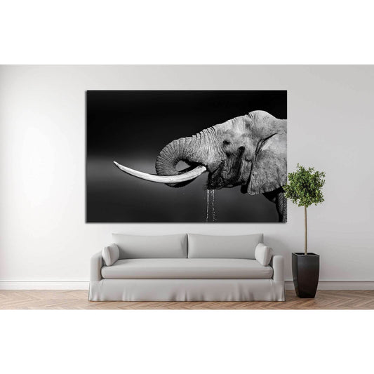 Elephant bull with large tusks in Addo National Park №1330 Ready to Hang Canvas PrintCanvas art arrives ready to hang, with hanging accessories included and no additional framing required. Every canvas print is hand-crafted, made on-demand at our workshop