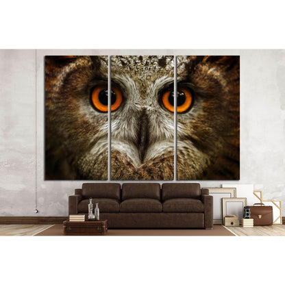 European eagle owl. Eurasian eagle owl. Close-up face. Big eyes. wisdom. The evil eye. (Owl, Bubo bubo) №2374 Ready to Hang Canvas PrintCanvas art arrives ready to hang, with hanging accessories included and no additional framing required. Every canvas pr