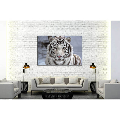 Face to face with white bengal tiger №2345 Ready to Hang Canvas PrintCanvas art arrives ready to hang, with hanging accessories included and no additional framing required. Every canvas print is hand-crafted, made on-demand at our workshop and expertly st