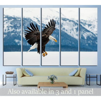 Flying bald eagle, Winter Alaska. USA №1858 Ready to Hang Canvas PrintCanvas art arrives ready to hang, with hanging accessories included and no additional framing required. Every canvas print is hand-crafted, made on-demand at our workshop and expertly s