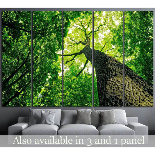 Upward Forest View Wall Art for Eco-Friendly InteriorsThis canvas print features an upward view of a towering tree, its trunk leading to a canopy of vibrant green leaves against the sky. This perspective celebrates the grandeur and vitality of nature, mak