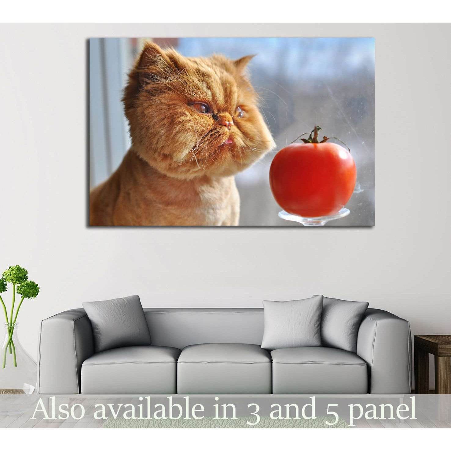 Funny Cat №553 Ready to Hang Canvas PrintCanvas art arrives ready to hang, with hanging accessories included and no additional framing required. Every canvas print is hand-crafted, made on-demand at our workshop and expertly stretched around 100% North Am