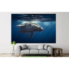 Great Whale №504 Ready to Hang Canvas PrintCanvas art arrives ready to hang, with hanging accessories included and no additional framing required. Every canvas print is hand-crafted, made on-demand at our workshop and expertly stretched around 100% North