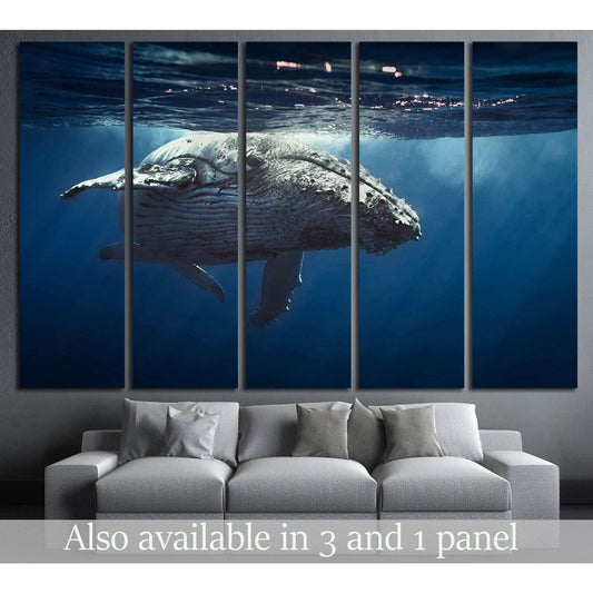 Great Whale №504 Ready to Hang Canvas PrintCanvas art arrives ready to hang, with hanging accessories included and no additional framing required. Every canvas print is hand-crafted, made on-demand at our workshop and expertly stretched around 100% North