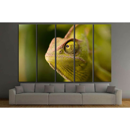 Green chameleon camouflaged by taking colors of its natural background №1829 Ready to Hang Canvas PrintCanvas art arrives ready to hang, with hanging accessories included and no additional framing required. Every canvas print is hand-crafted, made on-dema