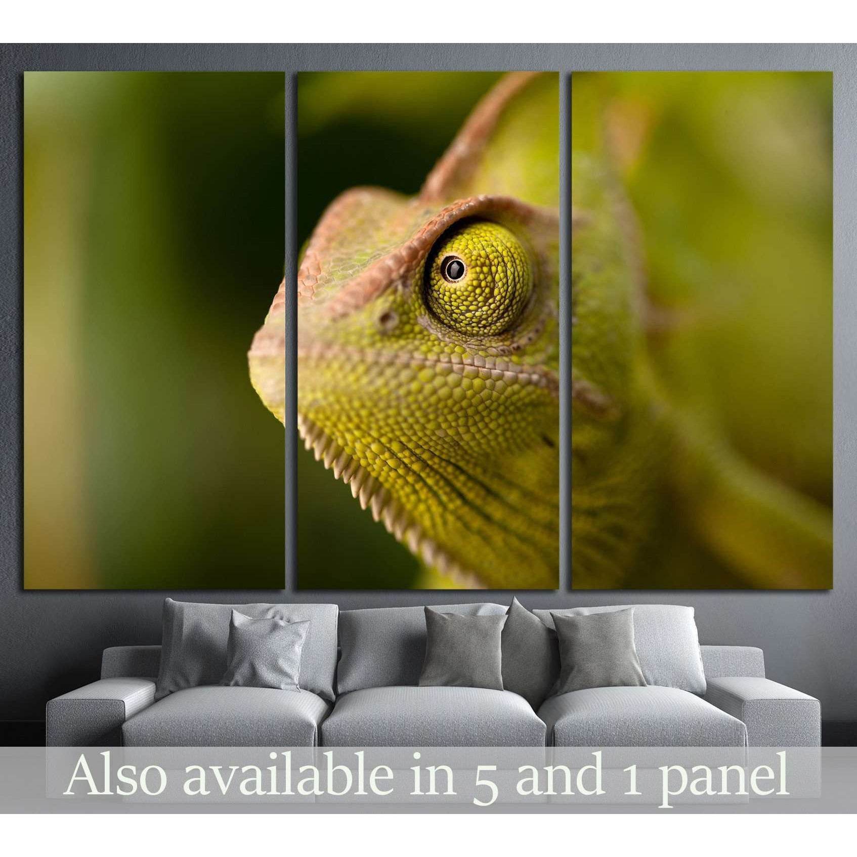 Green chameleon camouflaged by taking colors of its natural background №1829 Ready to Hang Canvas PrintCanvas art arrives ready to hang, with hanging accessories included and no additional framing required. Every canvas print is hand-crafted, made on-dema