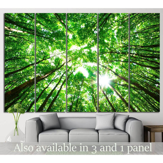 Nature-Inspired Tree Canopy Wall Art for Home InteriorsThis canvas print showcases a vibrant canopy of trees, their leaves a vivid green against the sunlight filtering through. It brings a fresh and lively touch to any space, ideal for offices or homes th