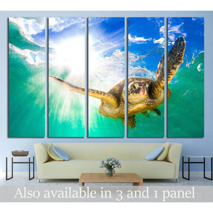 Hawaiian Green Sea Turtle cruising in the warm waters of the Pacific Ocean in Hawaii №2355 Ready to Hang Canvas PrintCanvas art arrives ready to hang, with hanging accessories included and no additional framing required. Every canvas print is hand-crafted