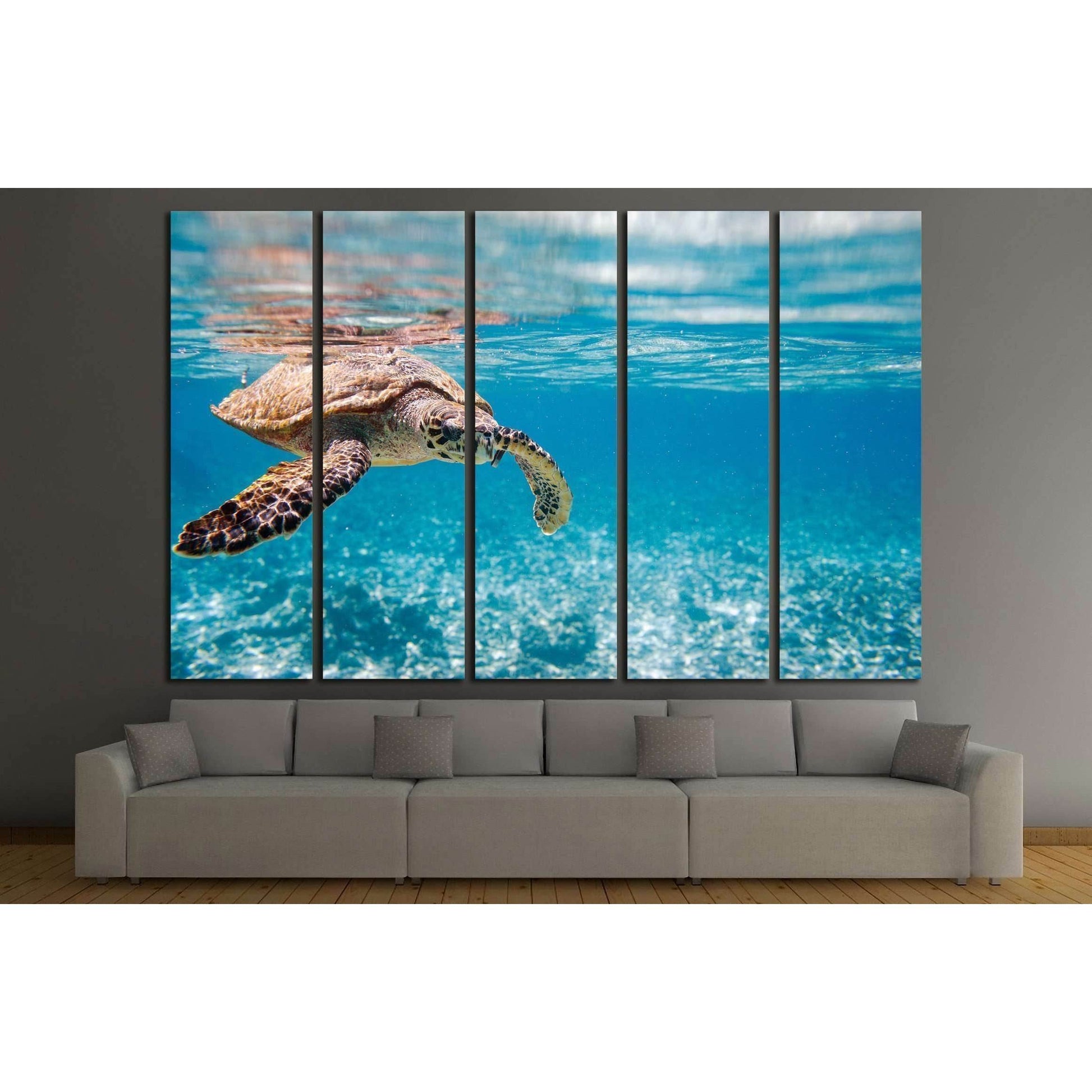 Hawksbill sea turtle swimming in Indian ocean in Seychelles №2336 Ready to Hang Canvas PrintCanvas art arrives ready to hang, with hanging accessories included and no additional framing required. Every canvas print is hand-crafted, made on-demand at our w