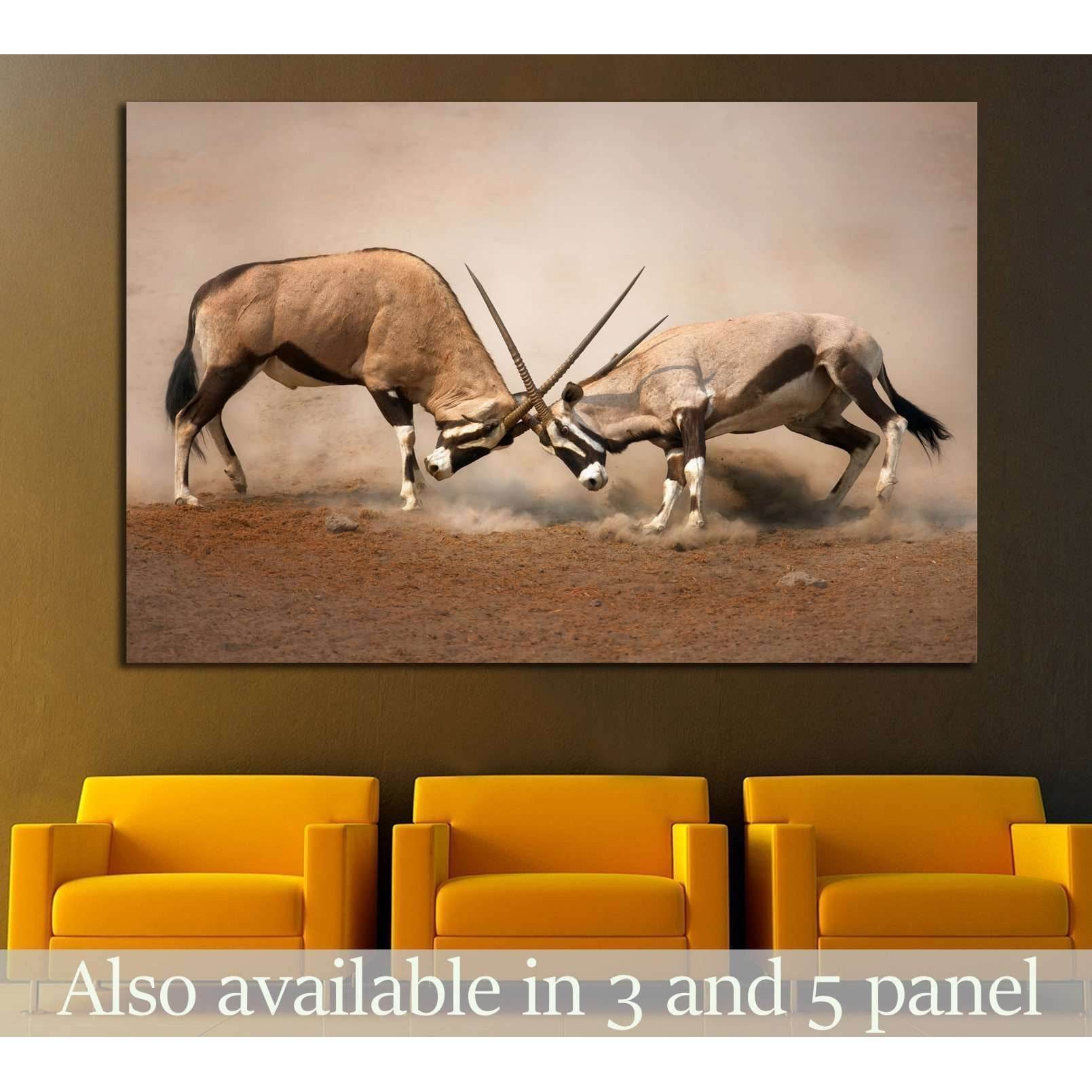 Intense fight between two male Gemsbok on dusty plains of Etosha №1838 Ready to Hang Canvas PrintCanvas art arrives ready to hang, with hanging accessories included and no additional framing required. Every canvas print is hand-crafted, made on-demand at