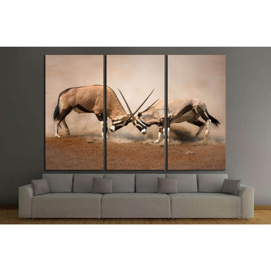 Intense fight between two male Gemsbok on dusty plains of Etosha №1838 Ready to Hang Canvas PrintCanvas art arrives ready to hang, with hanging accessories included and no additional framing required. Every canvas print is hand-crafted, made on-demand at