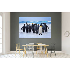 King Penguins heading to the water in the Falkland Islands №1845 Ready to Hang Canvas PrintCanvas art arrives ready to hang, with hanging accessories included and no additional framing required. Every canvas print is hand-crafted, made on-demand at our wo