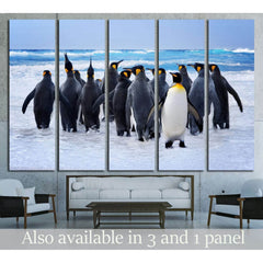 King Penguins heading to the water in the Falkland Islands №1845 Ready to Hang Canvas PrintCanvas art arrives ready to hang, with hanging accessories included and no additional framing required. Every canvas print is hand-crafted, made on-demand at our wo