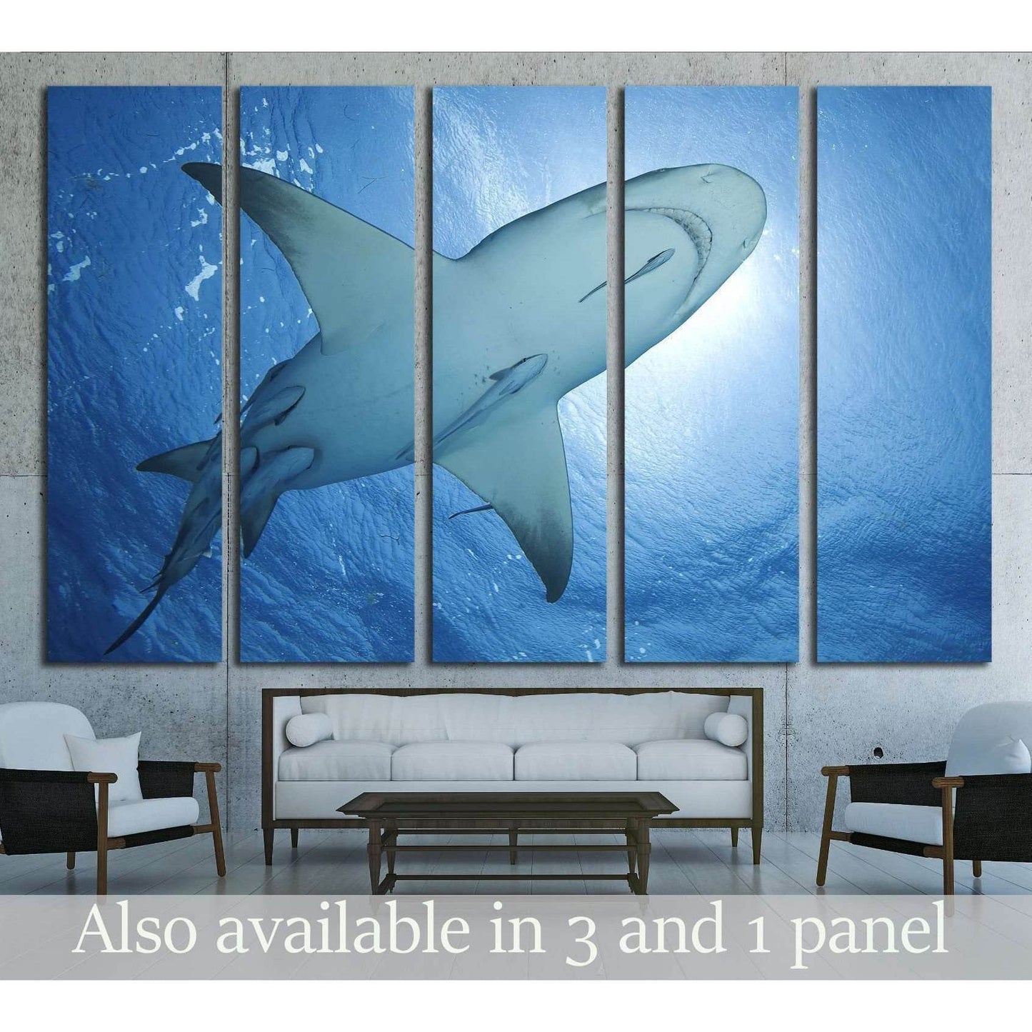 LEMON SHARK WITH REMORA SWIMMING AT THE SURFACE OF BAHAMAS №2358 Ready to Hang Canvas PrintCanvas art arrives ready to hang, with hanging accessories included and no additional framing required. Every canvas print is hand-crafted, made on-demand at our wo