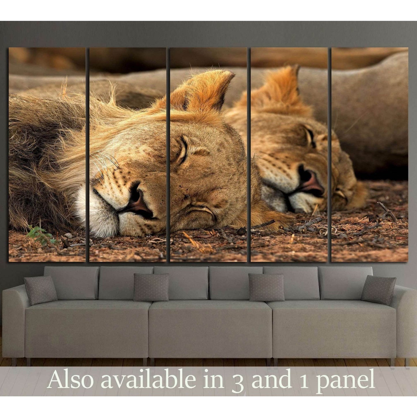 Lion Tandem №1112 Ready to Hang Canvas PrintCanvas art arrives ready to hang, with hanging accessories included and no additional framing required. Every canvas print is hand-crafted, made on-demand at our workshop and expertly stretched around 100% North