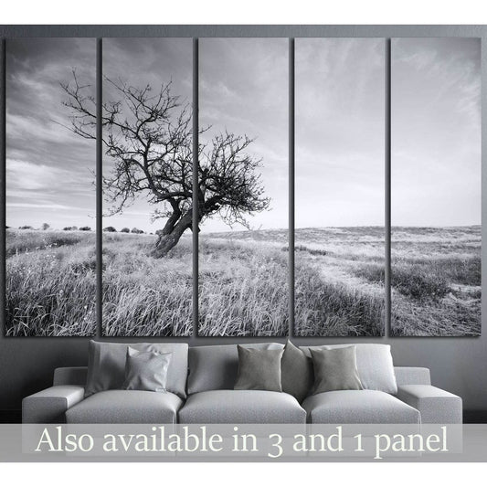 Lonely tree №628 Ready to Hang Canvas PrintCanvas art arrives ready to hang, with hanging accessories included and no additional framing required. Every canvas print is hand-crafted, made on-demand at our workshop and expertly stretched around 100% North