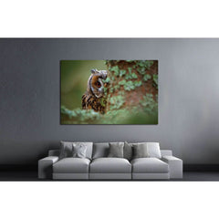 Long-eared Owl with big orange eyes behind larch tree trunk, Sweden №1861 Ready to Hang Canvas PrintCanvas art arrives ready to hang, with hanging accessories included and no additional framing required. Every canvas print is hand-crafted, made on-demand